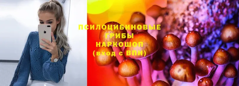 Псилоцибиновые грибы MAGIC MUSHROOMS Покровск